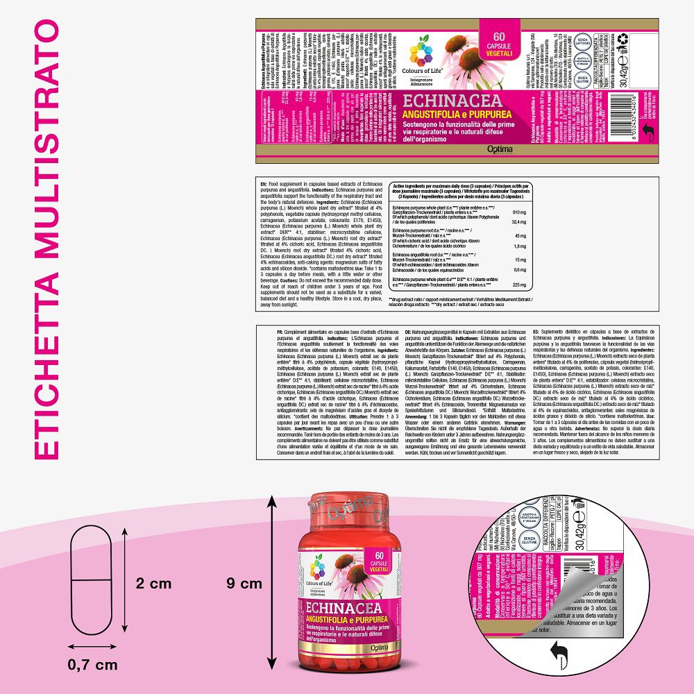 Etichetta con informazioni dettagliate sulle capsule Echinacea. Dimensioni capsula: 2cm x 0,7cm.