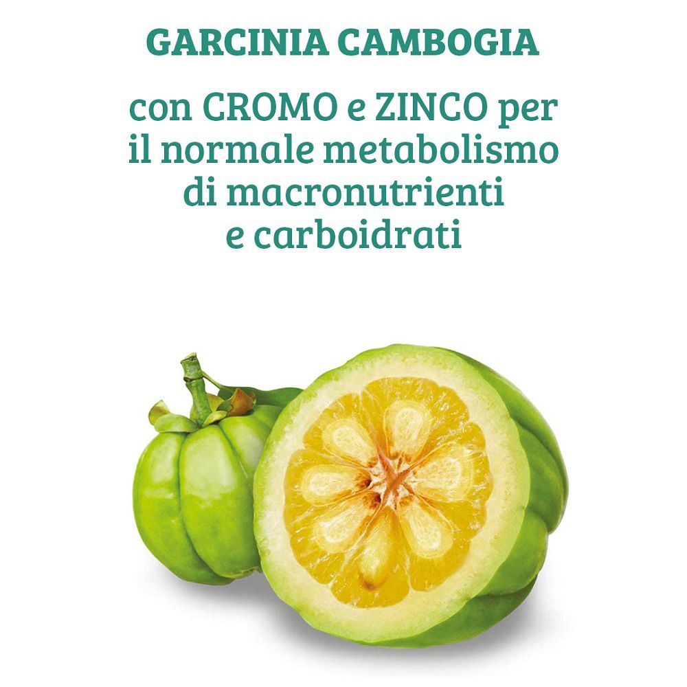 Frutto di Garcinia Cambogia, tagliato a metà, con testo su cromo e zinco per il metabolismo.