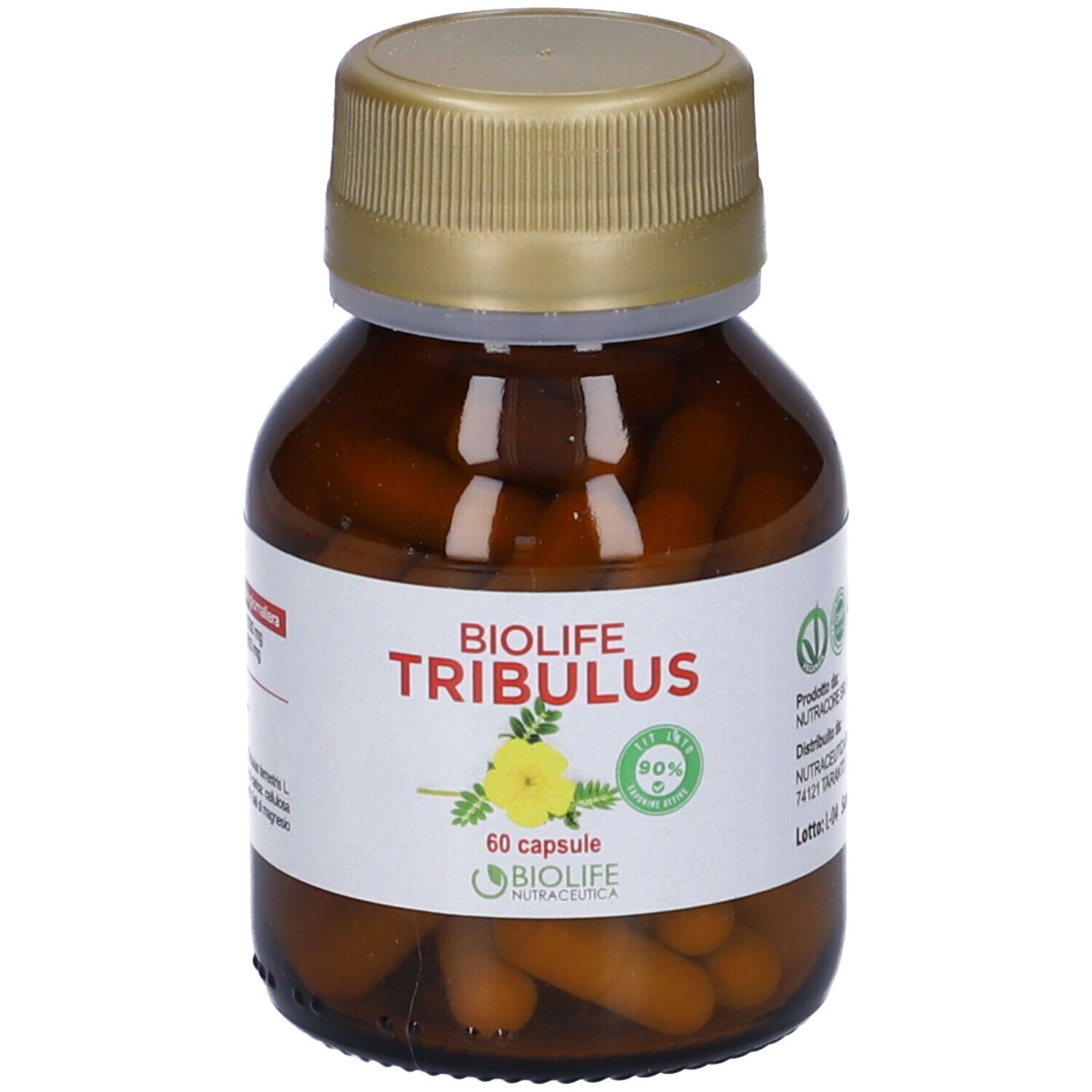 Tribulus Terrestris 60 Capsule