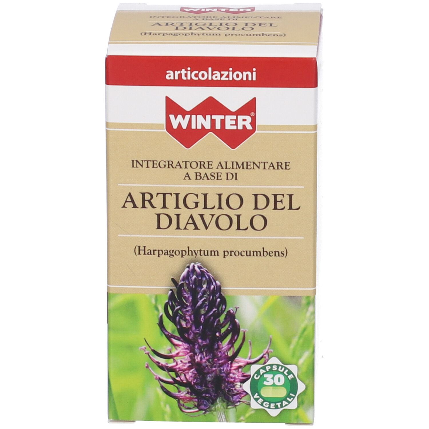 Scatola con WINTER, ARTIGLIO DEL DIAVOLO, 30 capsule. Immagine sulla confezione.