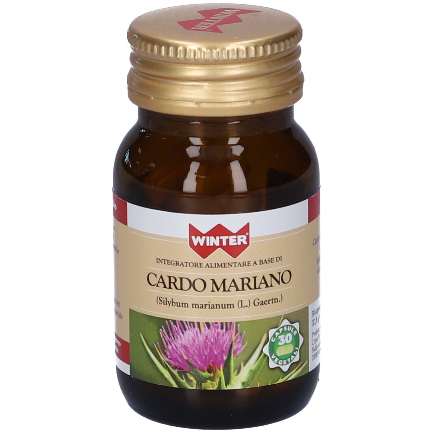 Winter Cardo Mariano Capsule