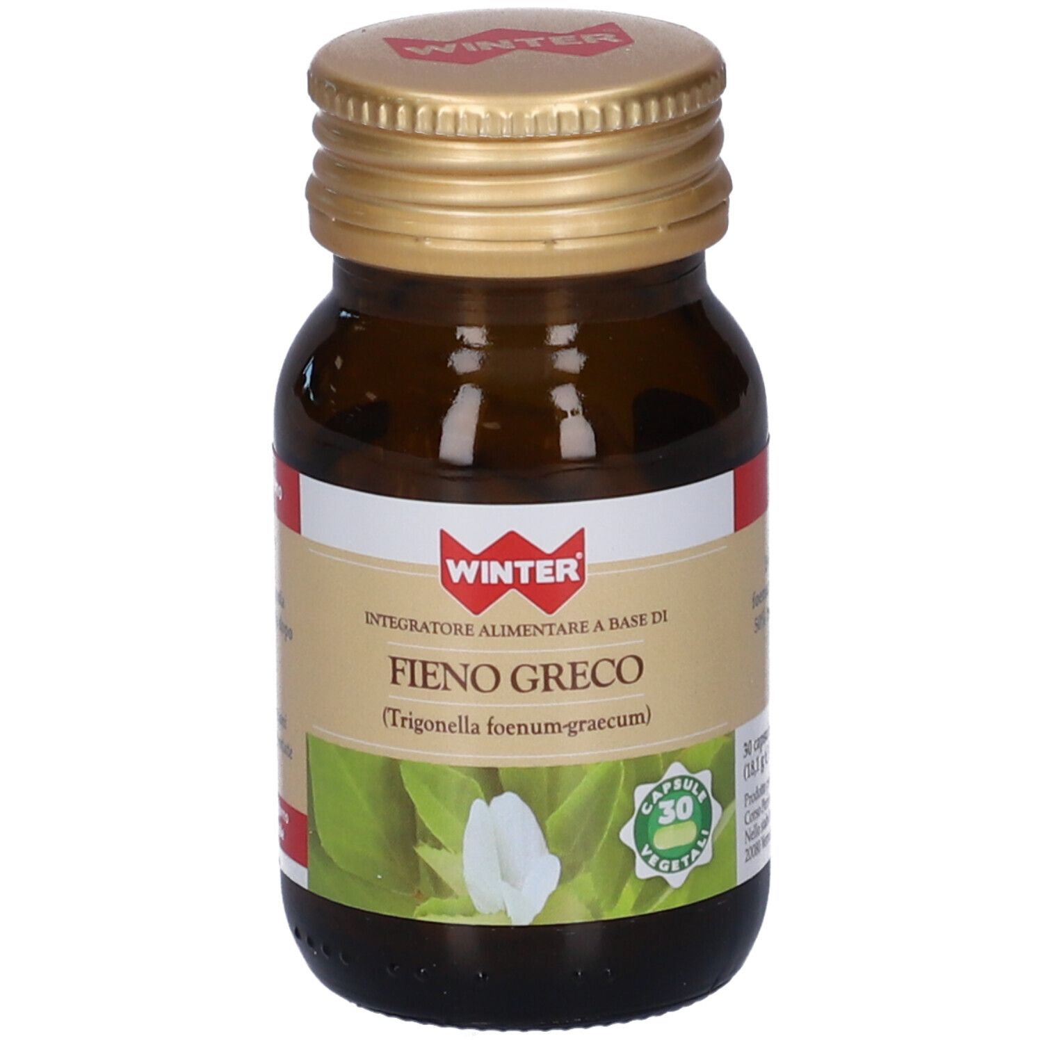 Winter Fieno Greco Capsule