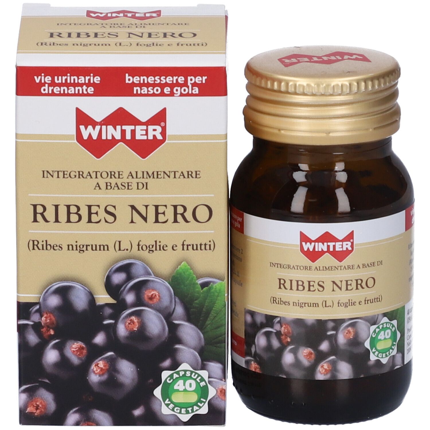 Flacone marrone e scatola. Scatola con testo e immagine di ribes nero. 40 capsule.