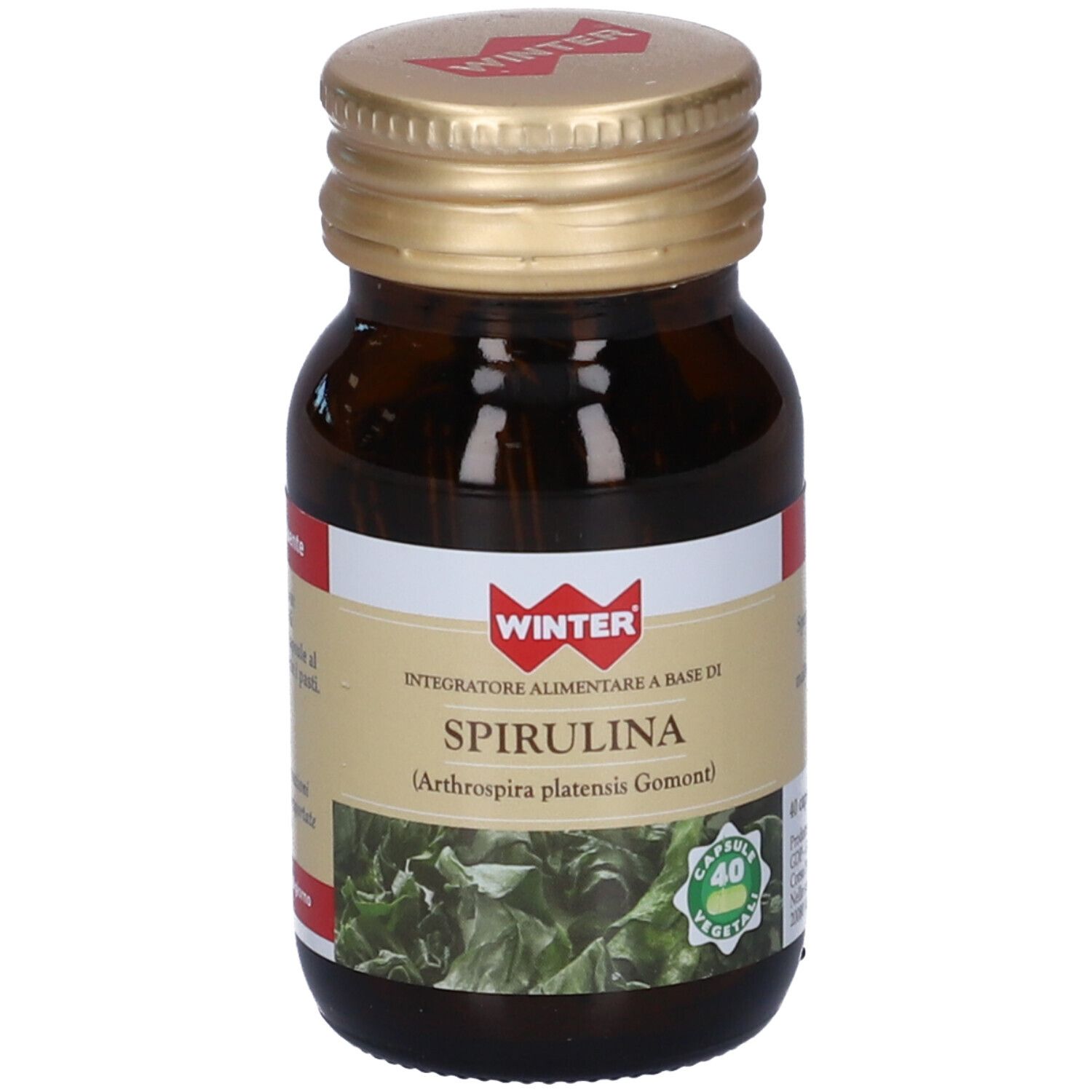 Winter Spirulina Capsule