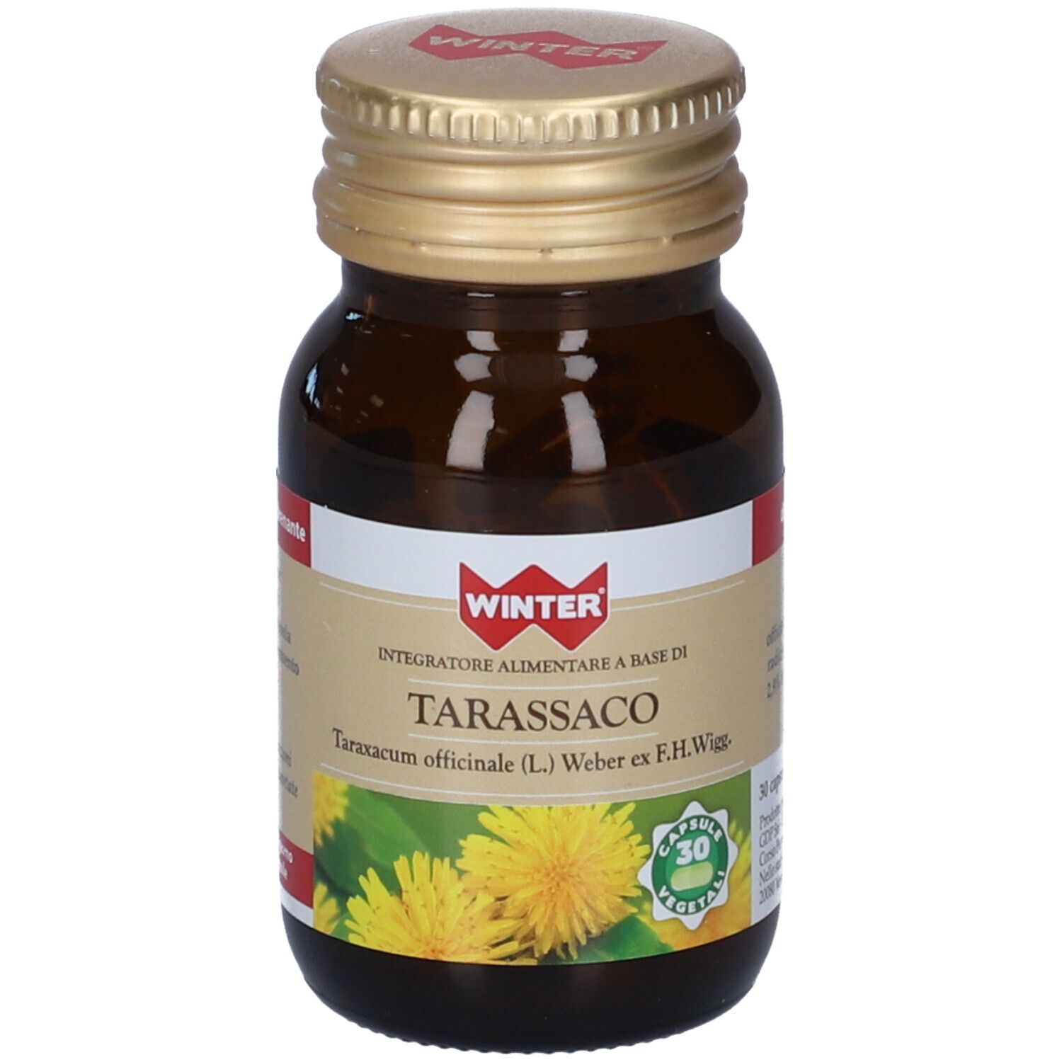 Winter Tarassaco Capsule