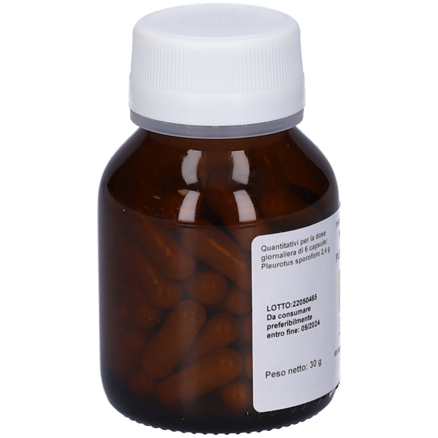Pleurotus Micoimmuno 60Cps