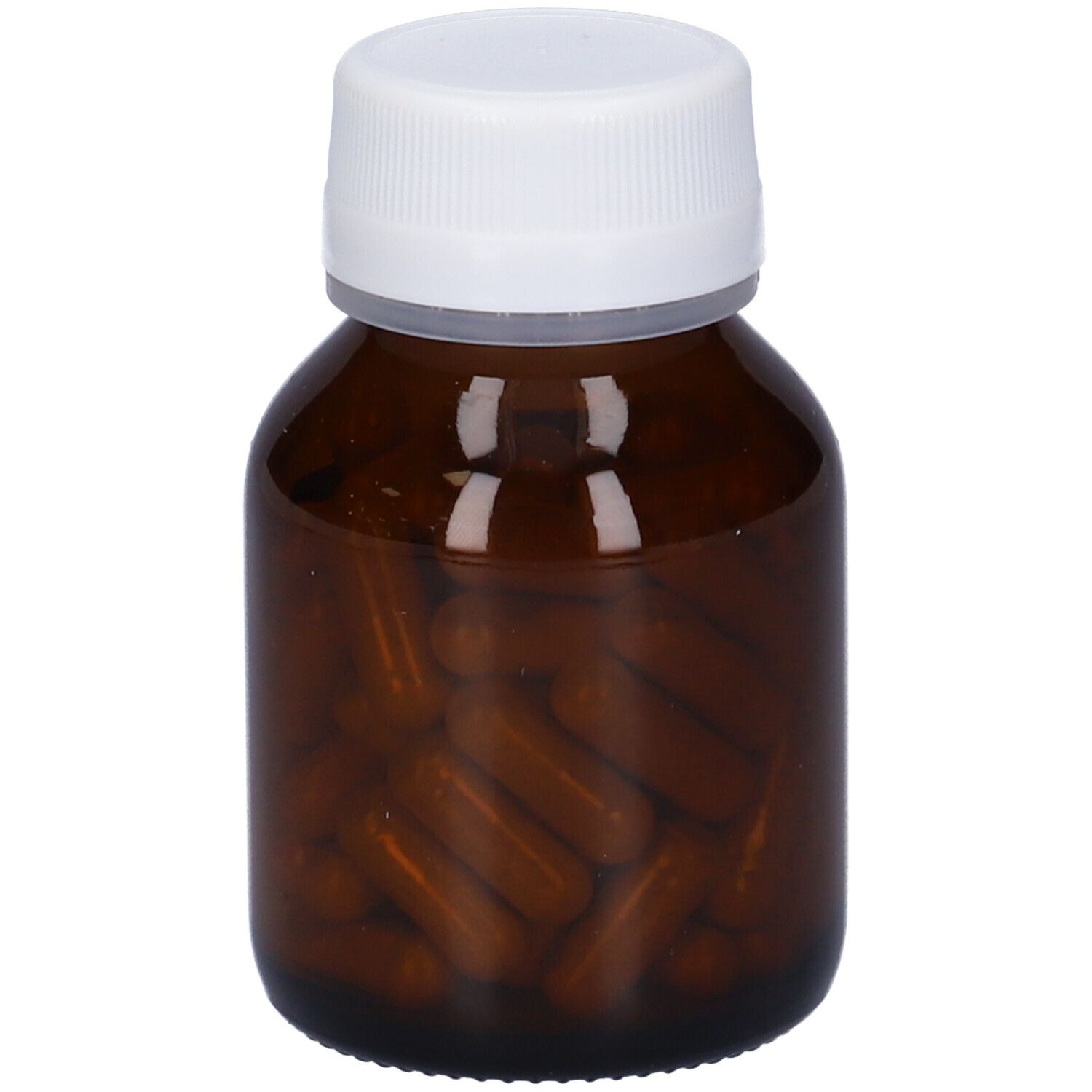 Pleurotus Micoimmuno 60Cps