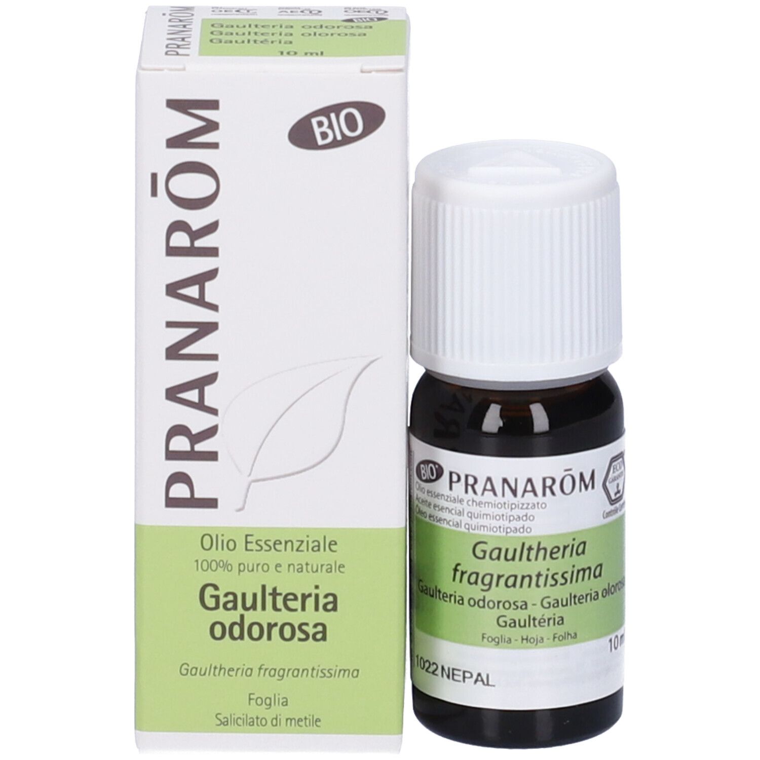 Pranarom Olio Essenziale Gaulteria Odorosa Foglia