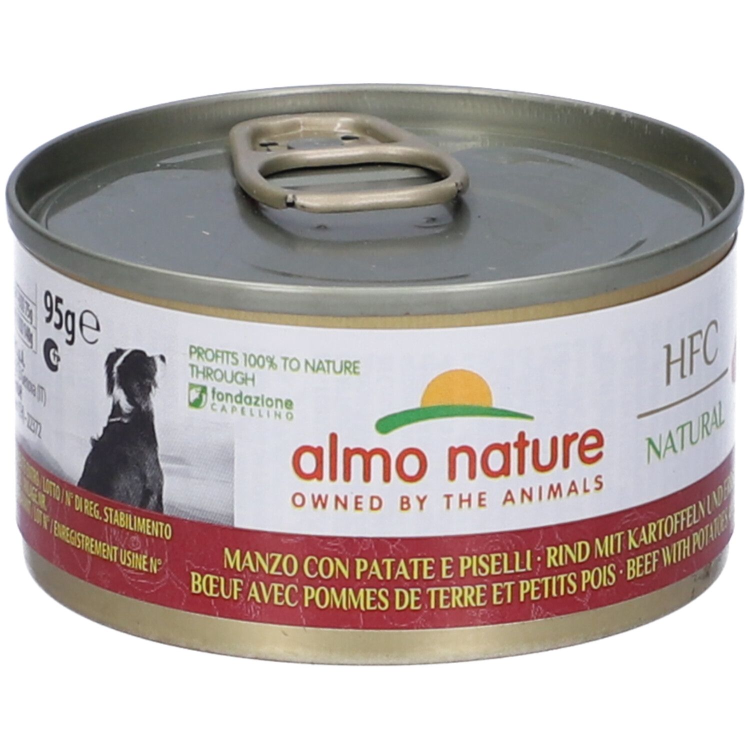 HFC Cuisine Manzo Con Patate E Piselli