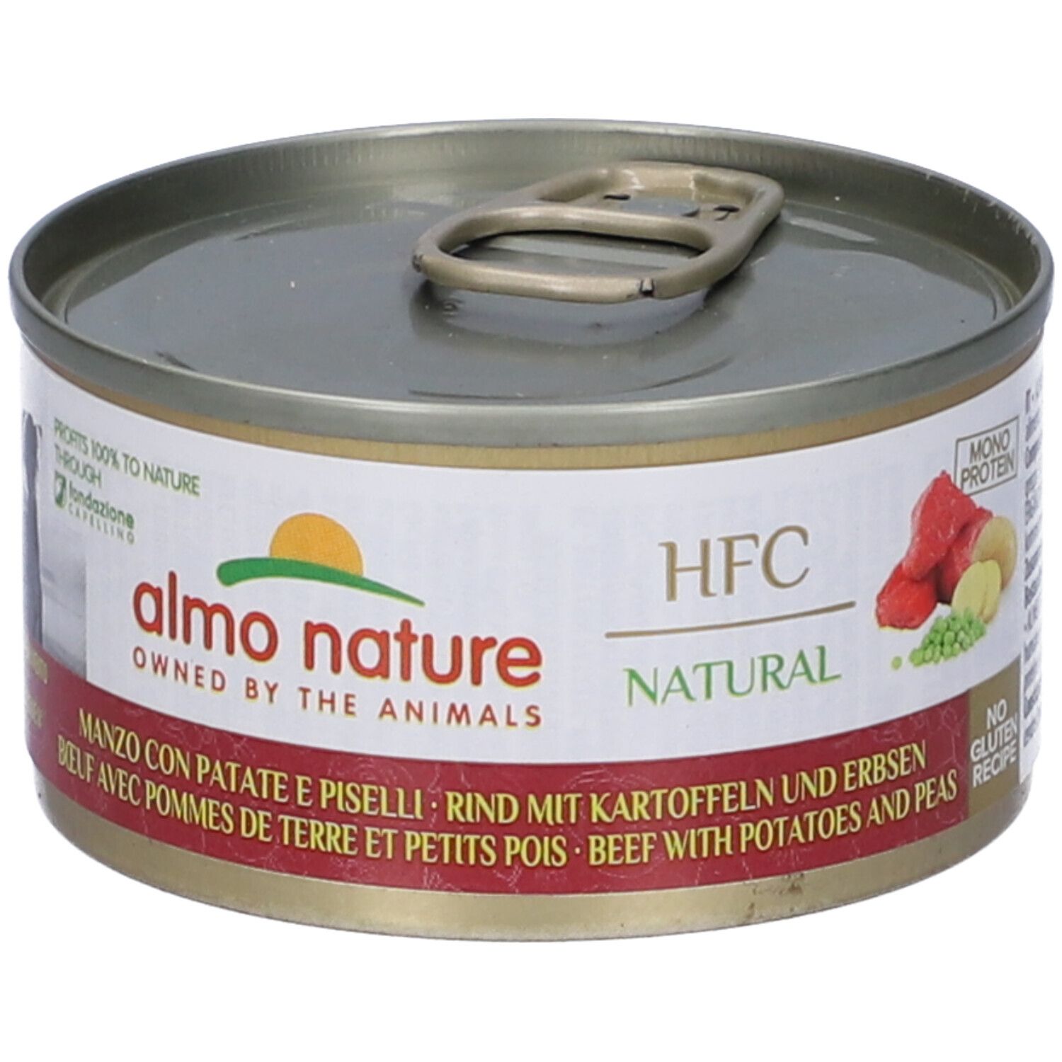 HFC Cuisine Manzo Con Patate E Piselli