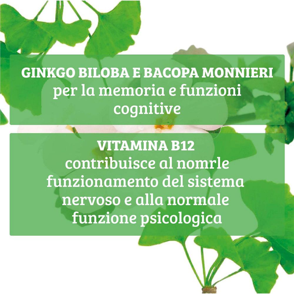 Ginkgo Biloba e Bacopa Monnieri per memoria e funzioni cognitive.