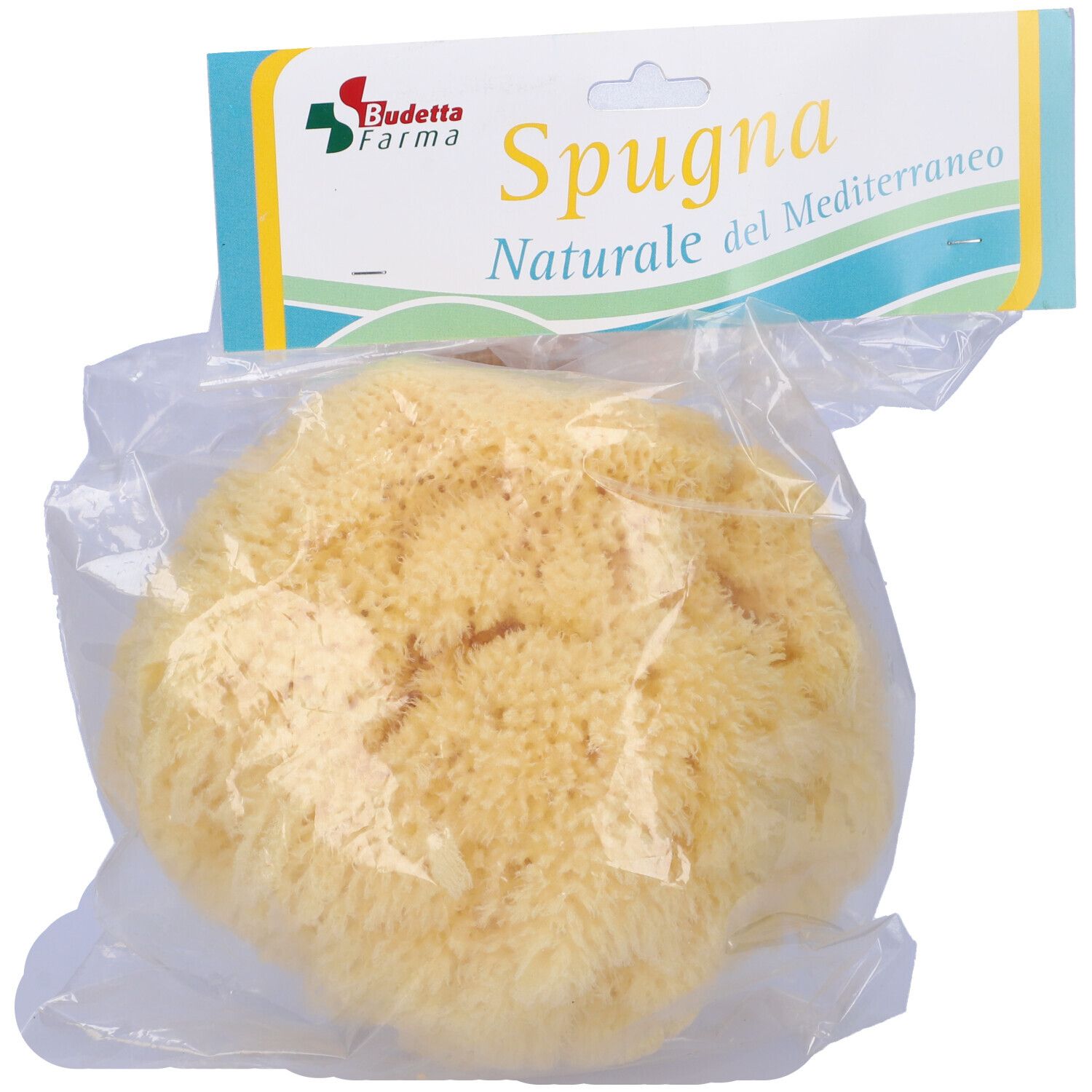 Spugna Naturale Mediterranea Laboratori Atenei 16