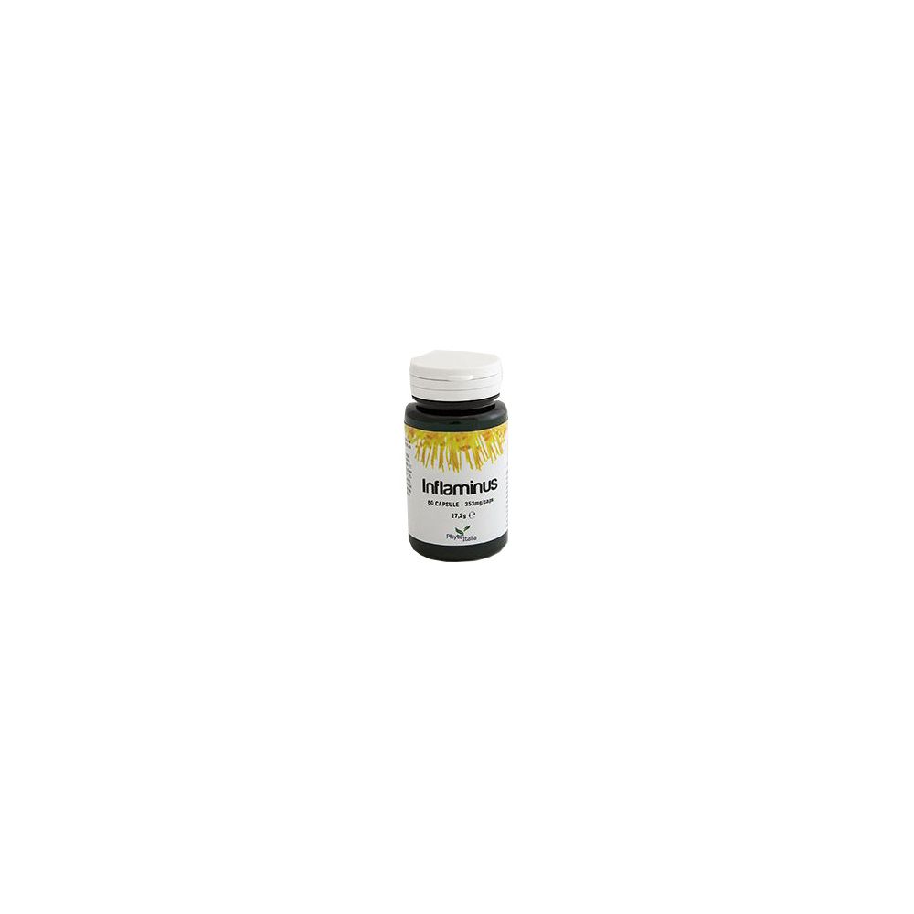 Inflaminus 60 Capsule