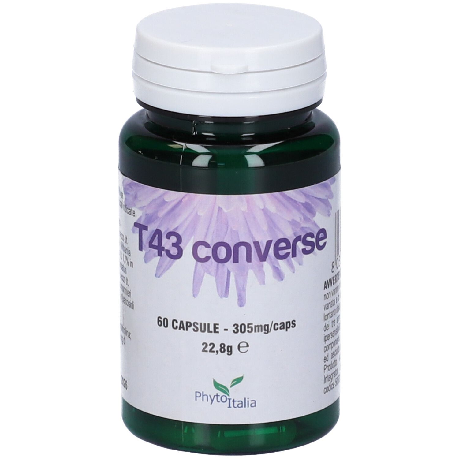 T43 Converse 60 Capsule