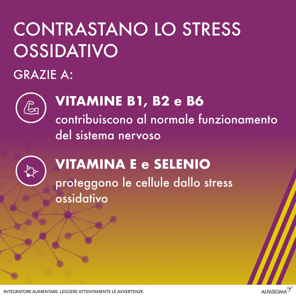 Grafica con testo. Informazioni ALAnerv ON. Vitamine B1, B2, B6, E e Selenio. Contro lo stress ossidativo.