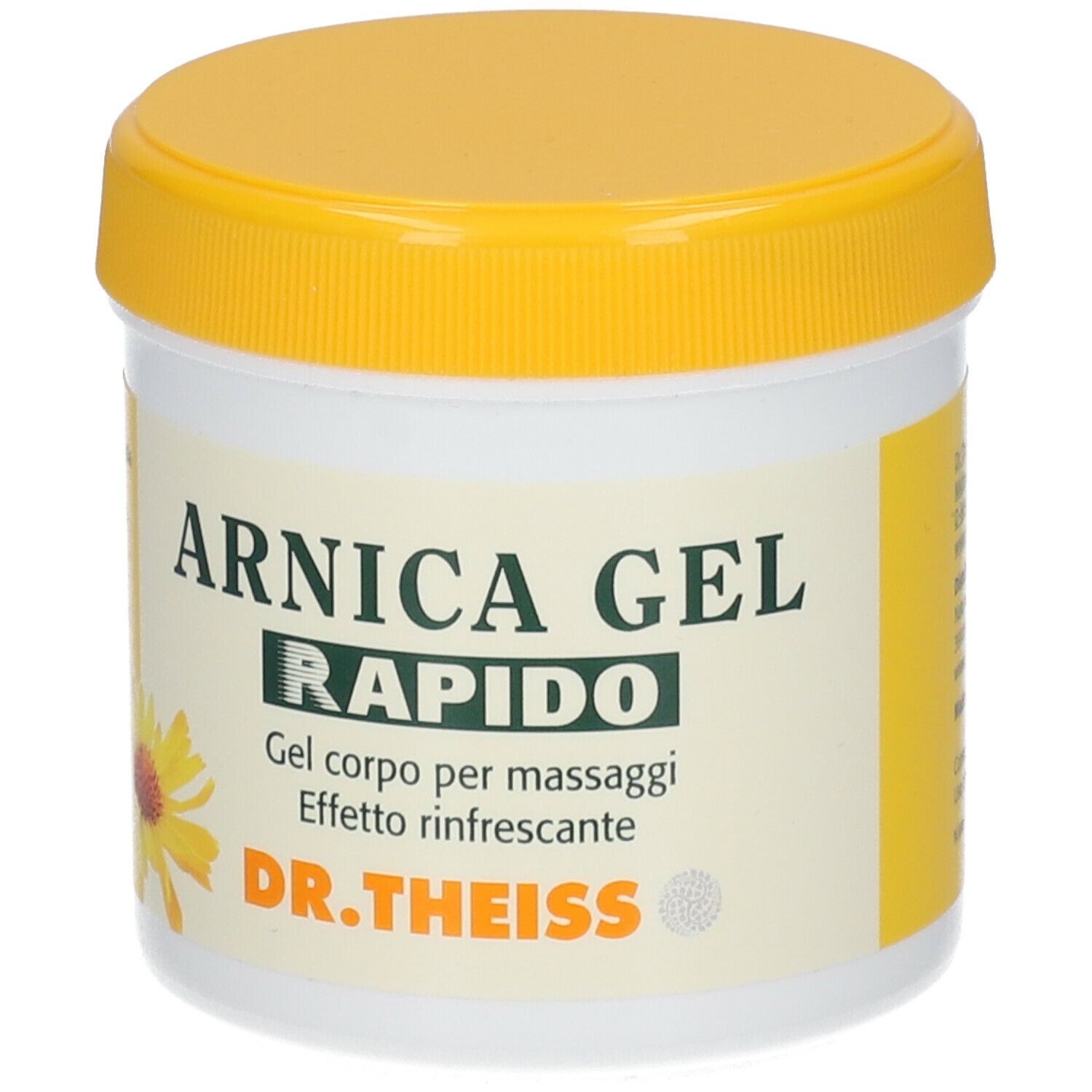 DR THEISS ARNICA GEL RAPIDO - Farmacia Busetti