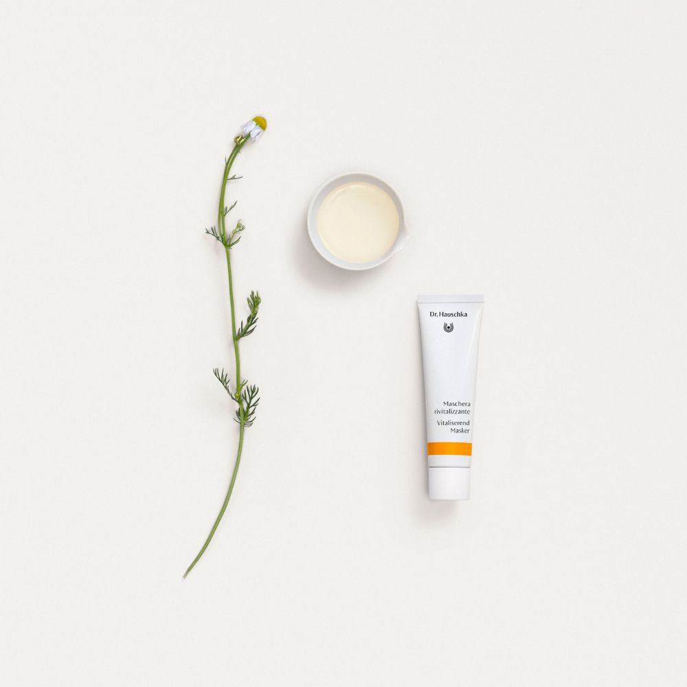 Disposizione del prodotto: tubo, ciotola di crema, fiore di camomilla. Su sfondo bianco.