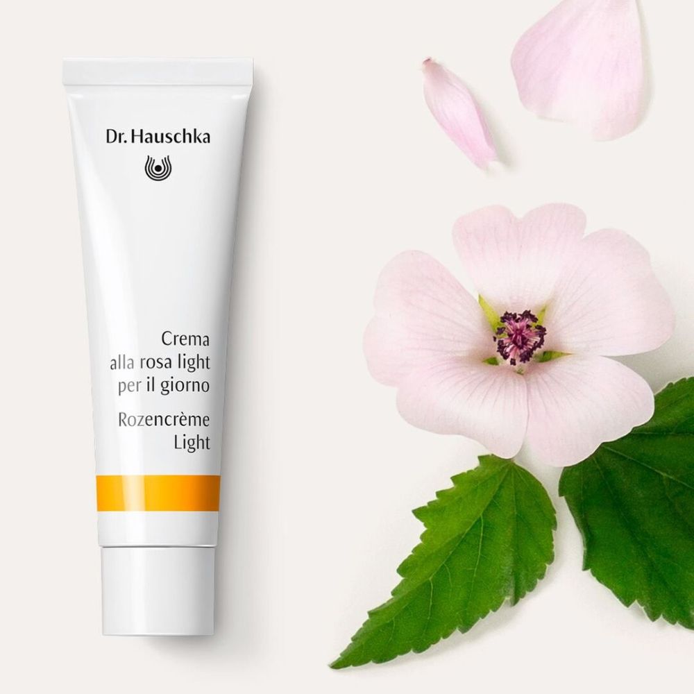 Tubo con fiori e foglie. Scritta: Dr. Hauschka, Creme alla rosa light per il giorno, Rozencrème Light.