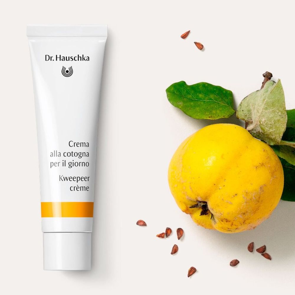 Tubo bianco con striscia gialla, accanto mela cotogna, foglie e semi. Scritta: Dr. Hauschka, Crema.