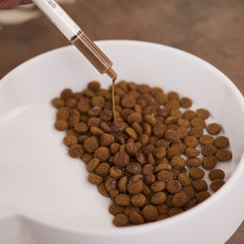Una siringa versa liquido in una ciotola di cibo secco. Il liquido è marrone.