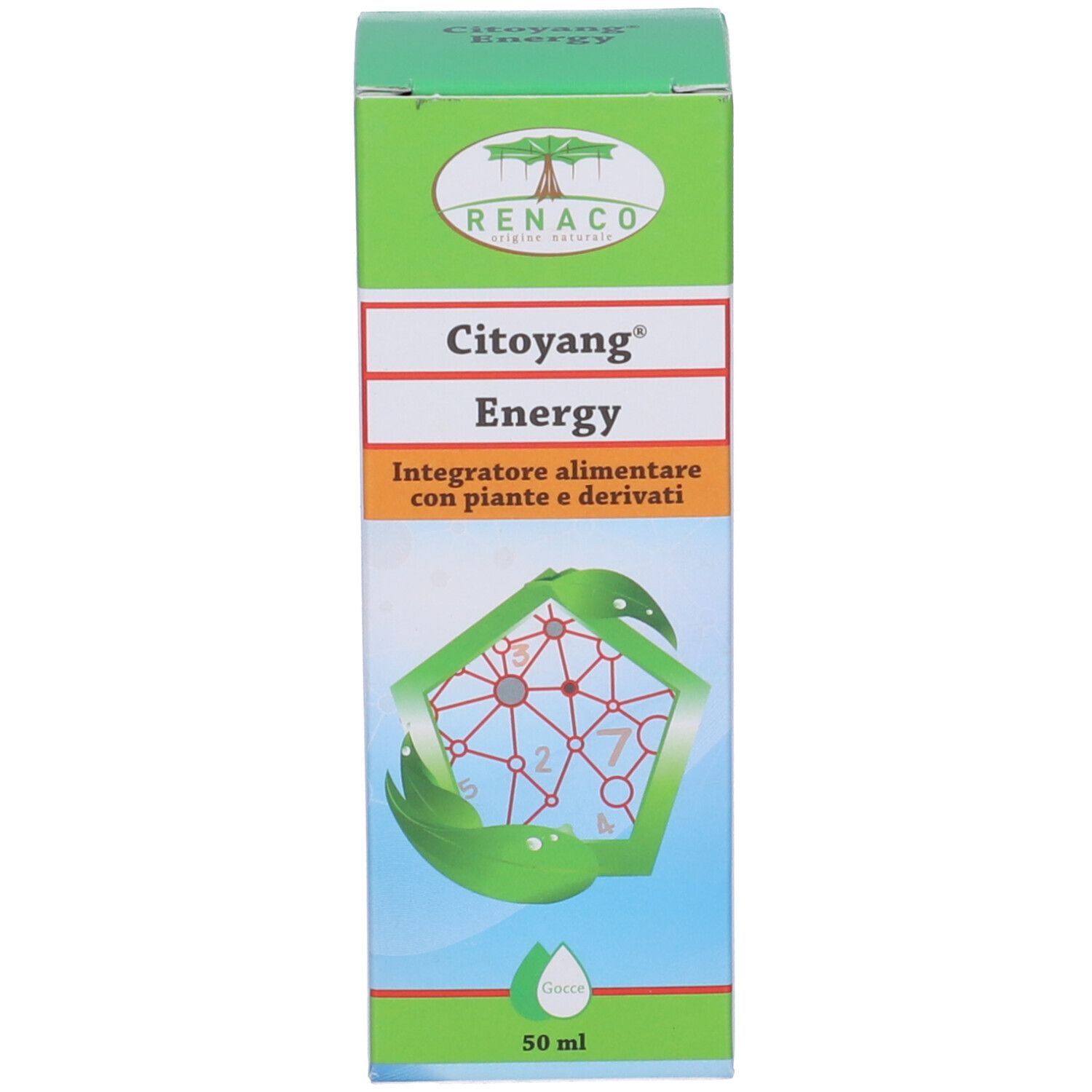 Confezione in cartone con nome del prodotto e logo. Colori verde e bianco. Nome e logo del prodotto ben visibili.