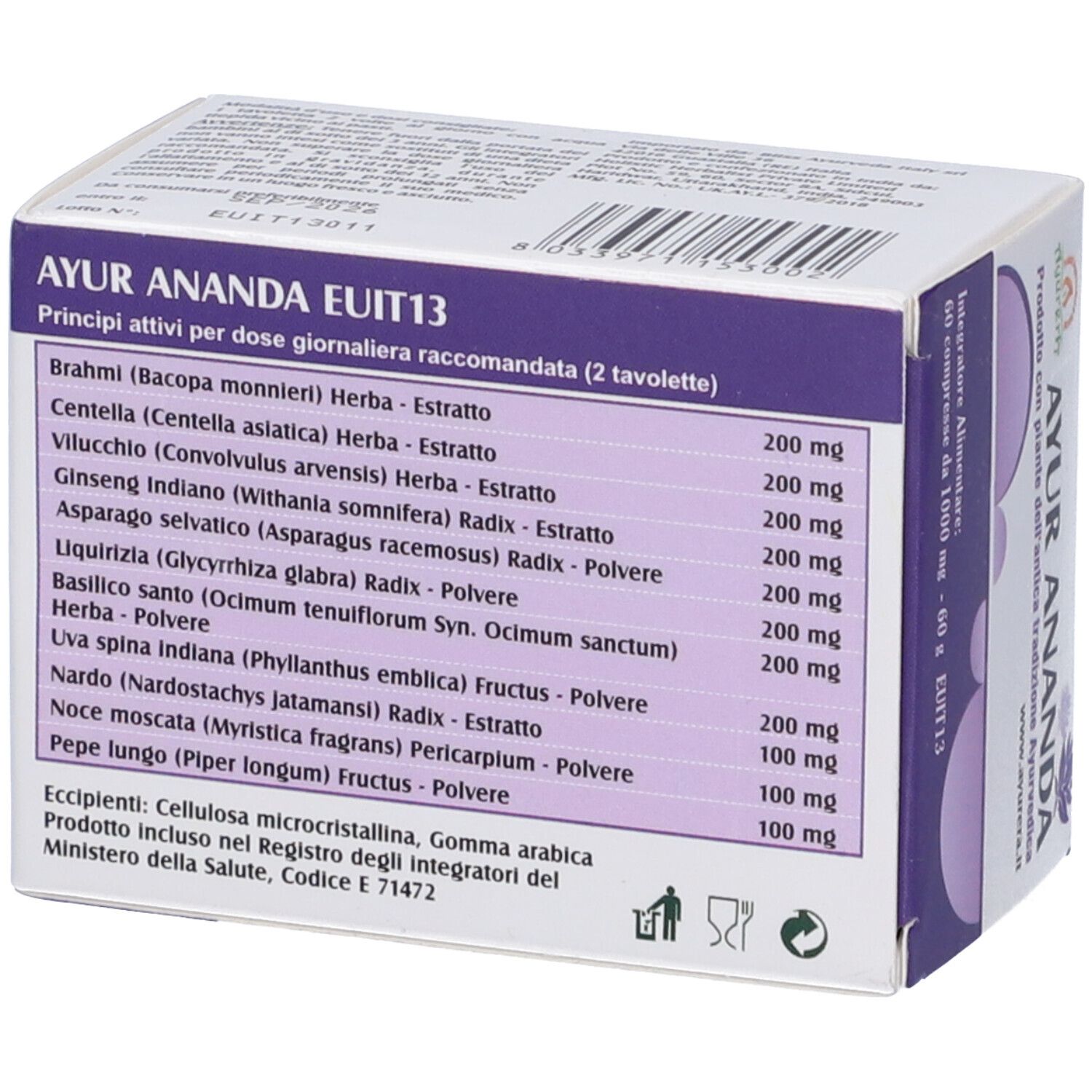 Ayur Ananda Nt 60 Compresse
