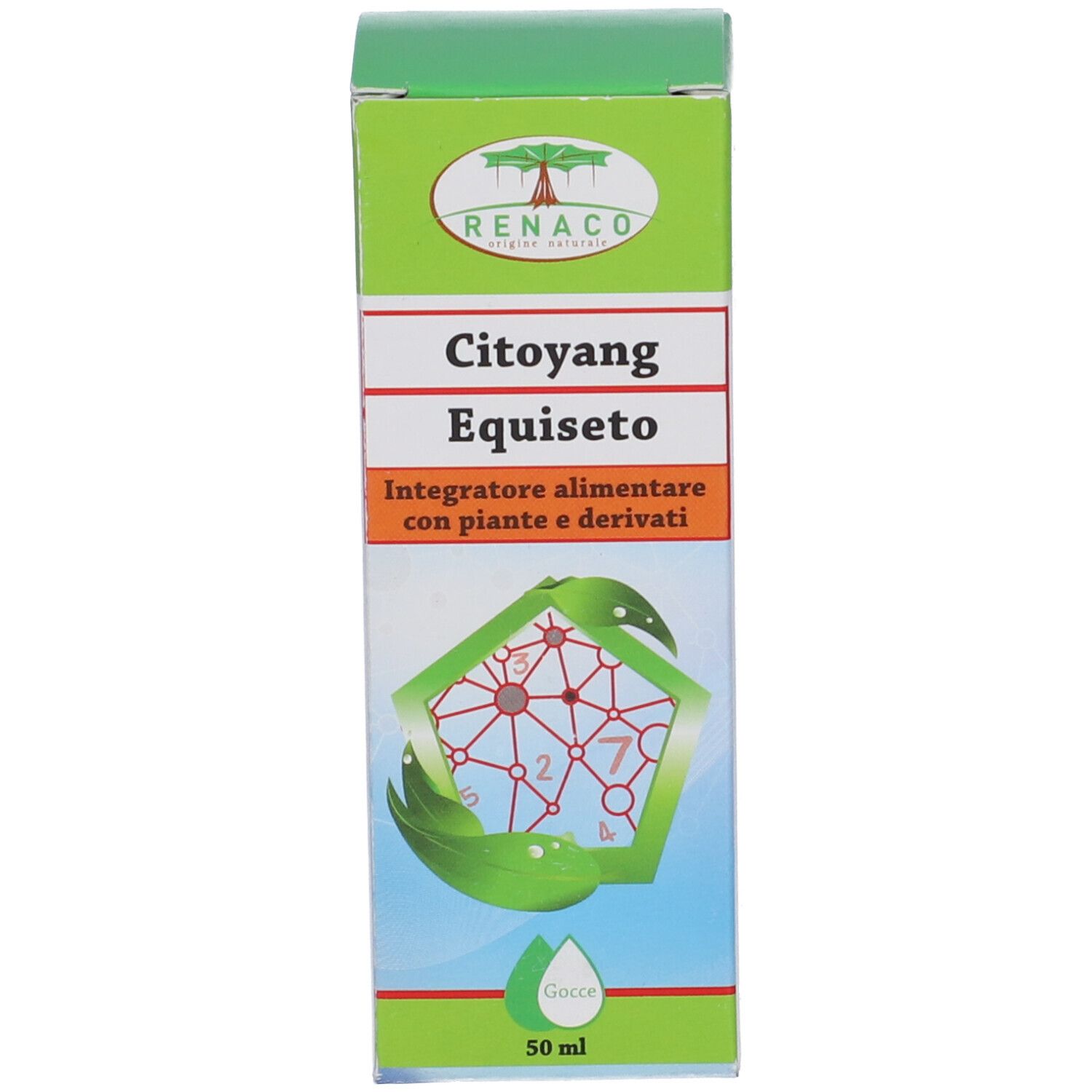 Confezione del prodotto. Scatola con logo, nome del prodotto e informazioni. Visibile: Citoyang Equiseto.