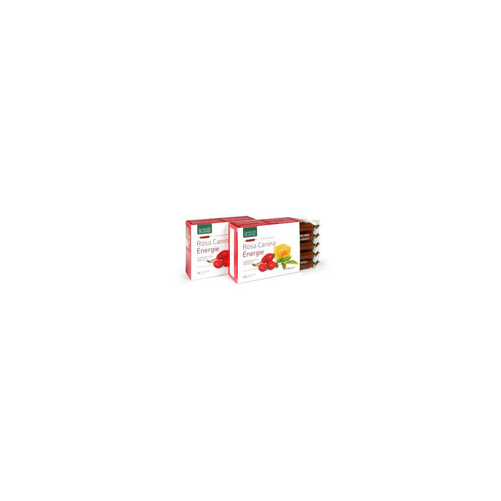 Rosa Canina Energie Biologico 10 Ampolle Bevibili Da 10 Ml