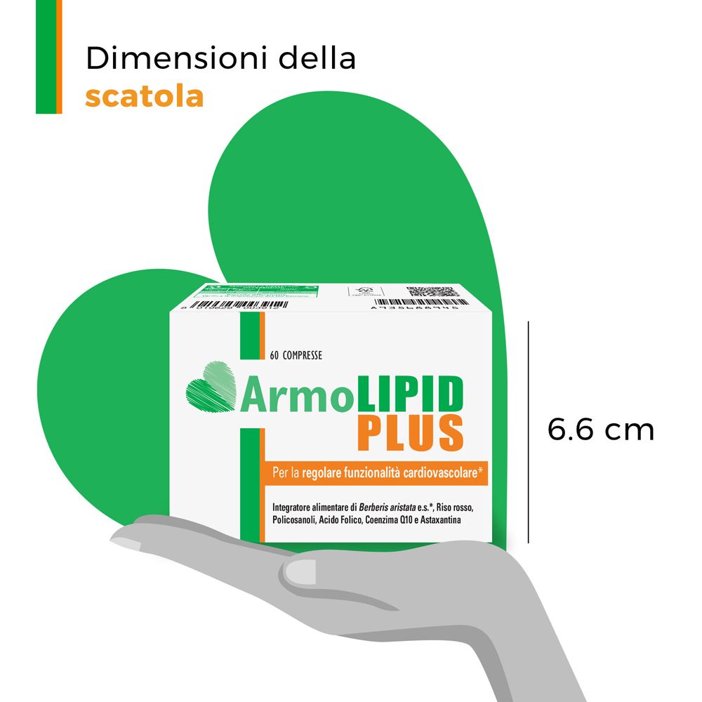Mano che tiene una scatola di ArmoLIPID PLUS. Dimensioni della scatola: 6,6 cm di altezza.