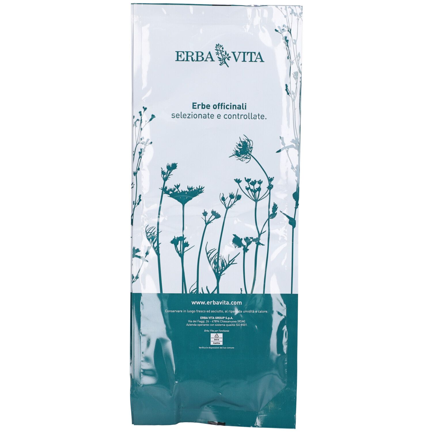 Lino Farina Semi 100G