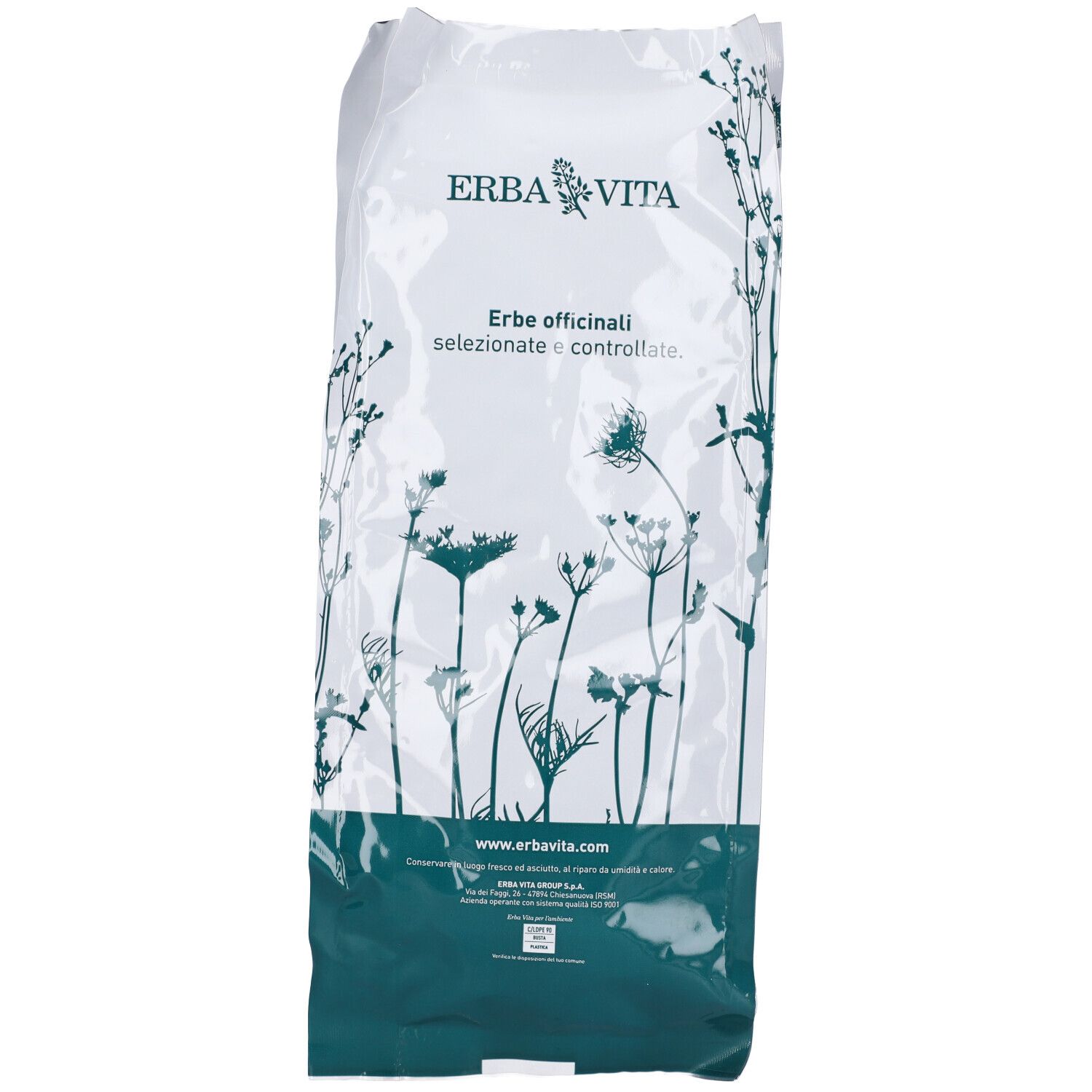 Erba Vita Ortica Taglio Tisana Foglie