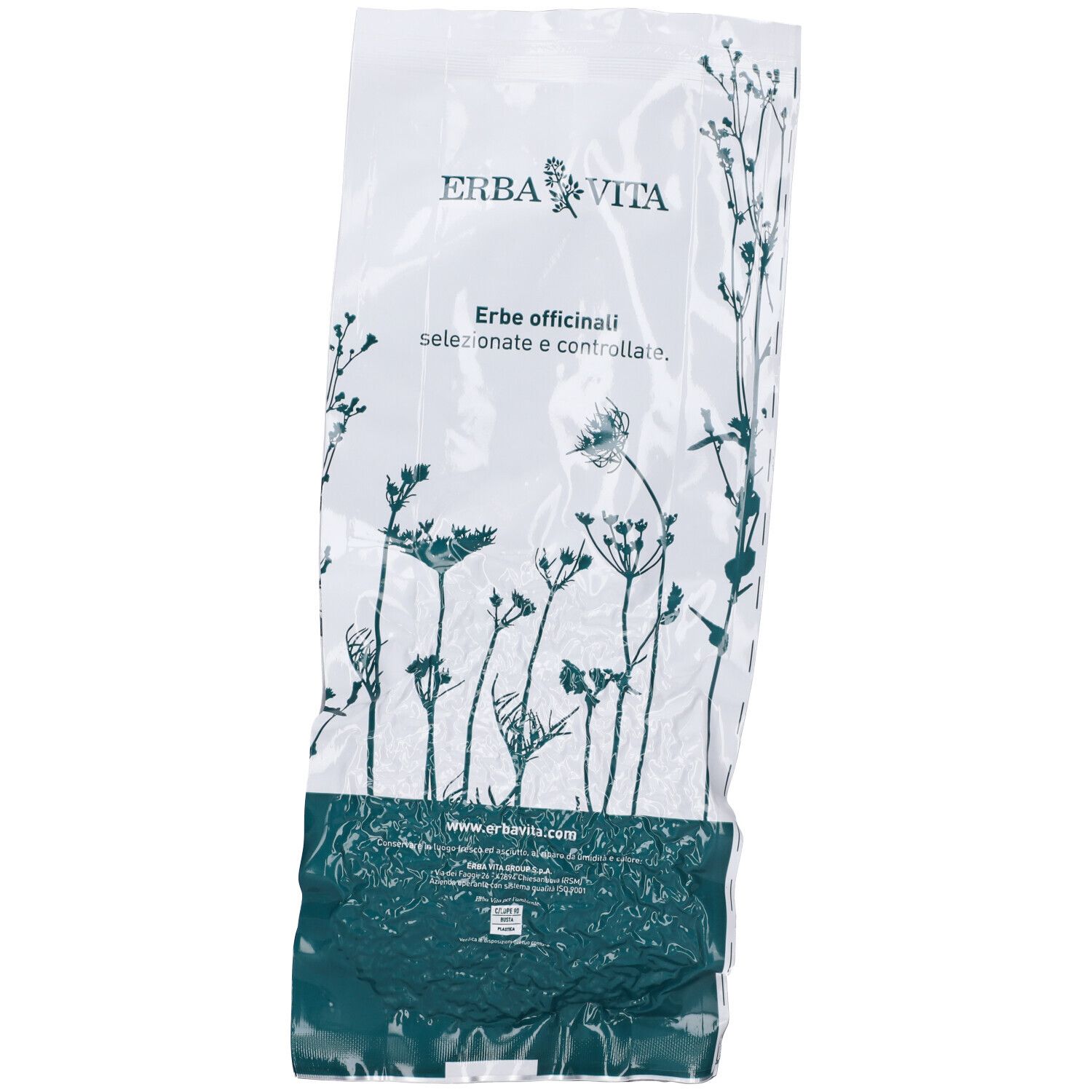 Erba Vita Angelica Taglio Tisana Radice