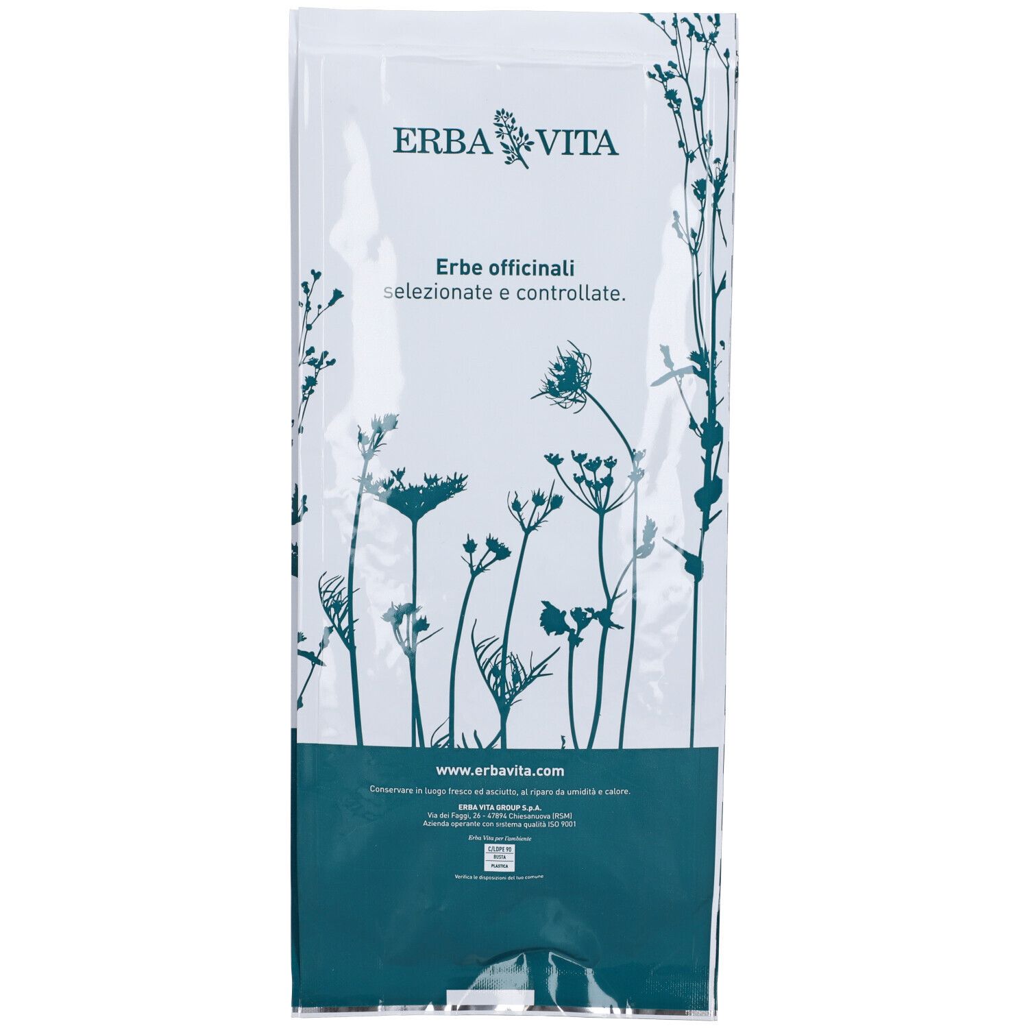 Assenzio Romano Taglio Tisana Sommita' 100 G