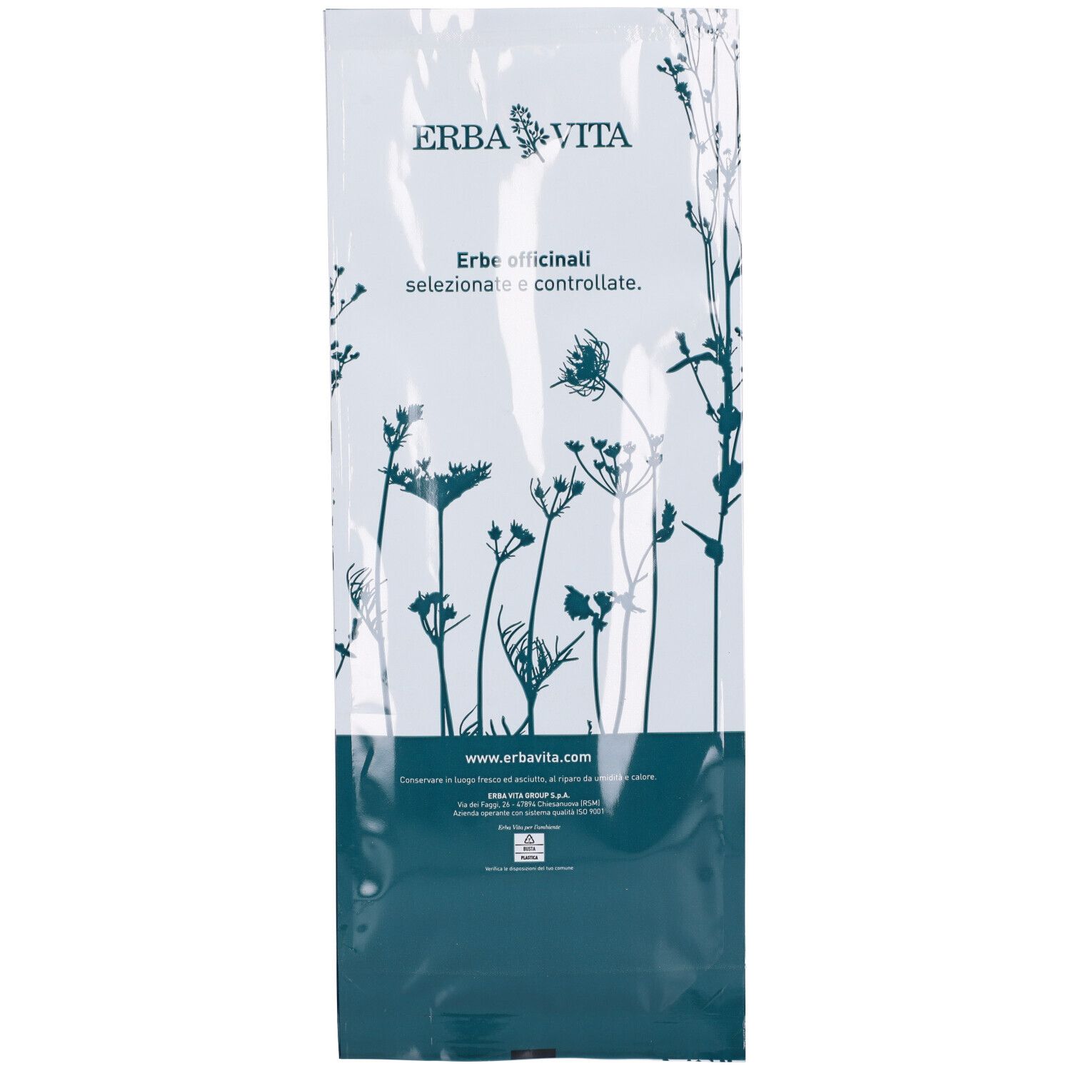 Spirulina Alga Polvere 100 G
