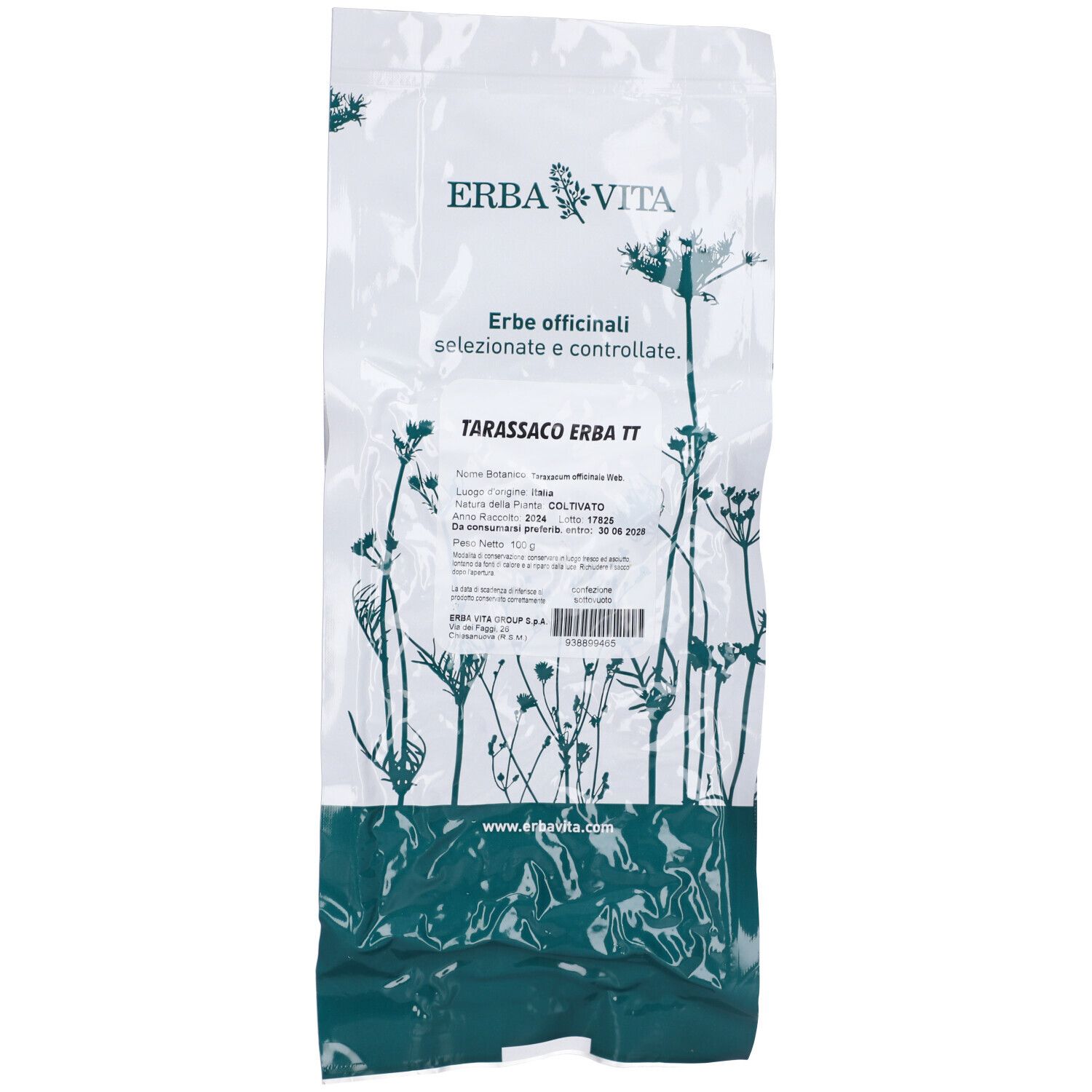 Erba Vita Tarassaco Erba Taglio Tisana