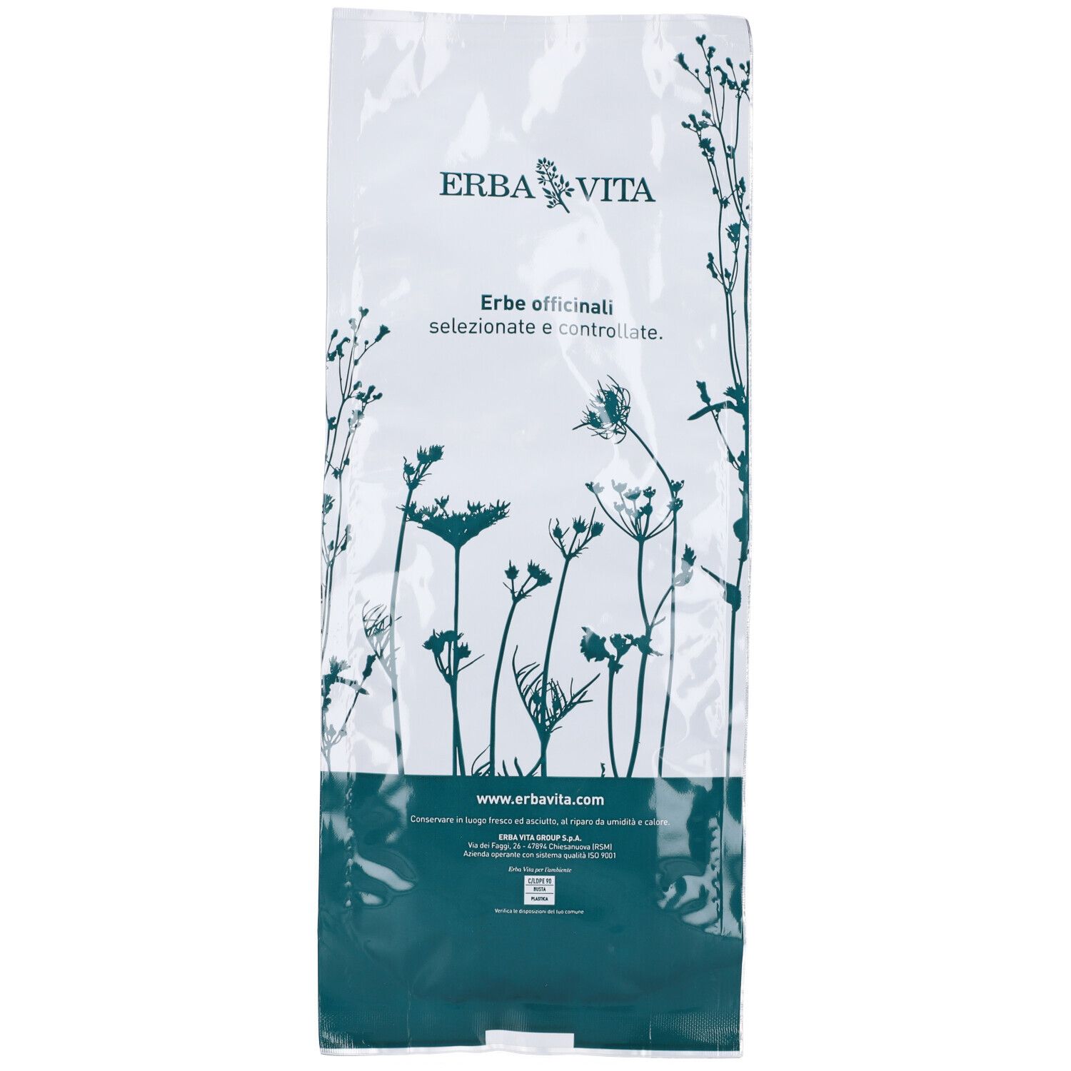 Zenzero Polvere Rizoma 100 G