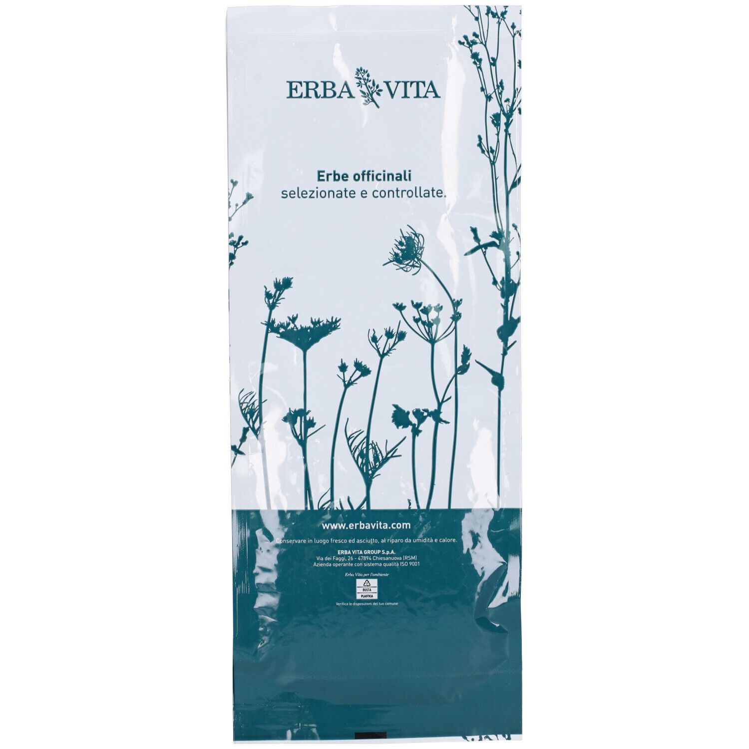 Zenzero Taglio Tisana Rizoma 100 G