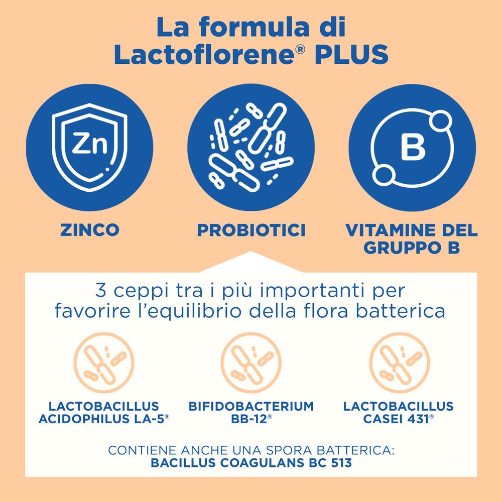 Rappresentazione grafica degli ingredienti di Lactoflorene® Plus: zinco, probiotici, vitamina B.