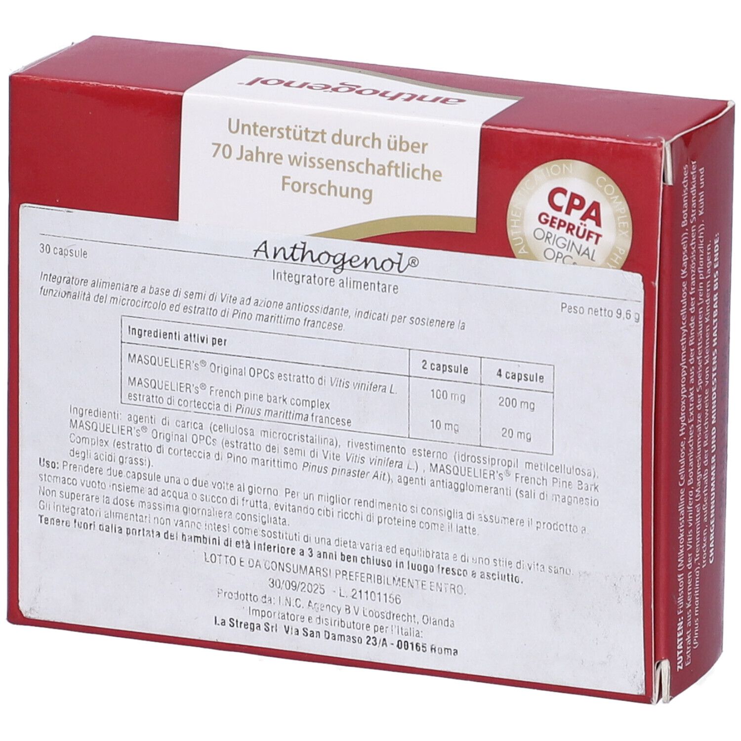 Opc Masquelier Anthogenol 30 Capsule