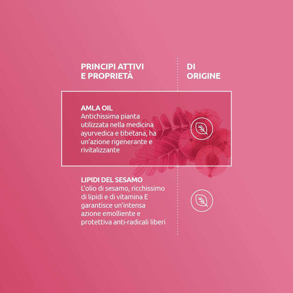 Sfondo rosa con blocchi di testo. Testo: Amla Oil, Lipidi del Sesamo. Illustrazioni di frutta e foglie. Testo in italiano.