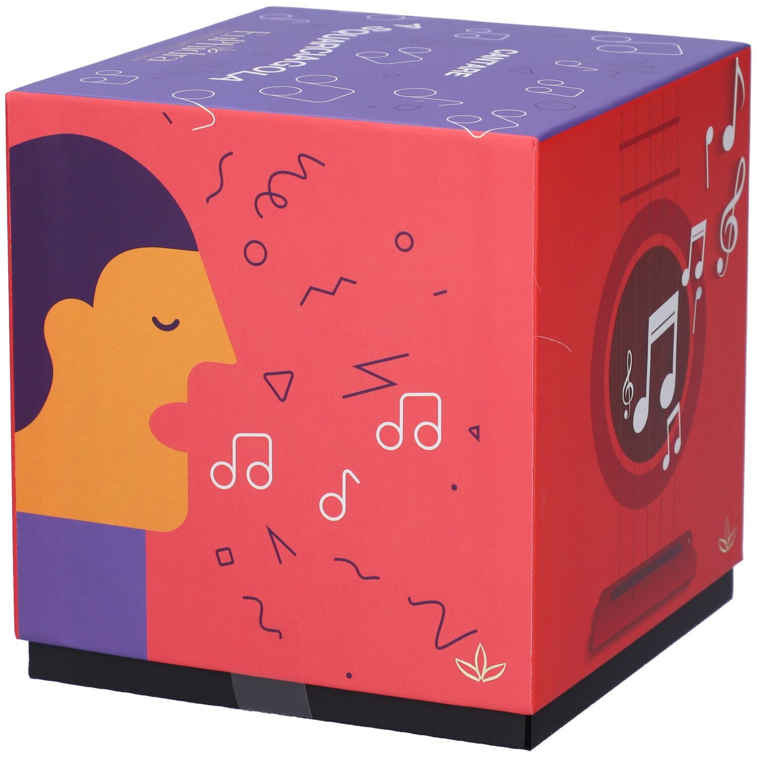 Confezione regalo quadrata con grafica rossa e viola. Raffigurazione di una bocca con microfono, una persona che canta e note musicali.