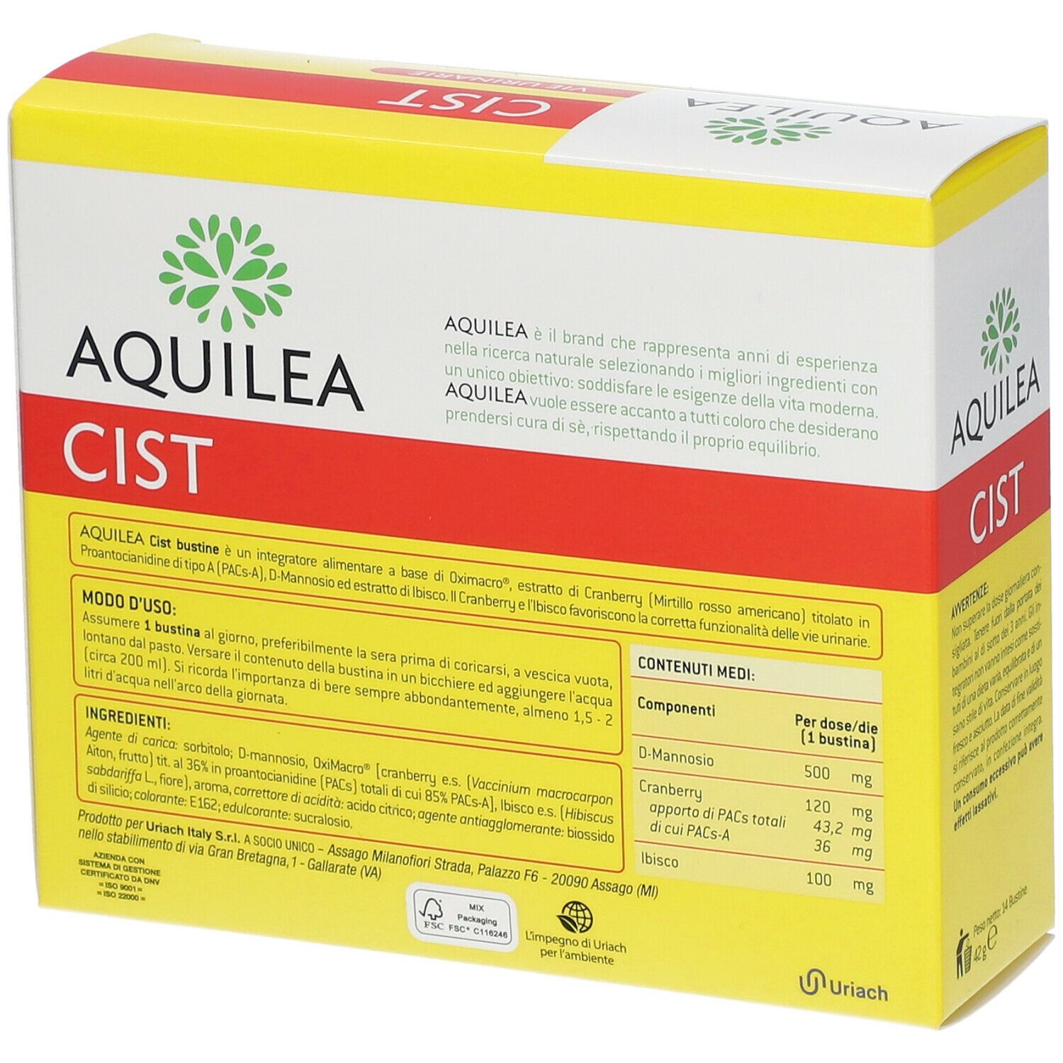 AQUILEA Cist