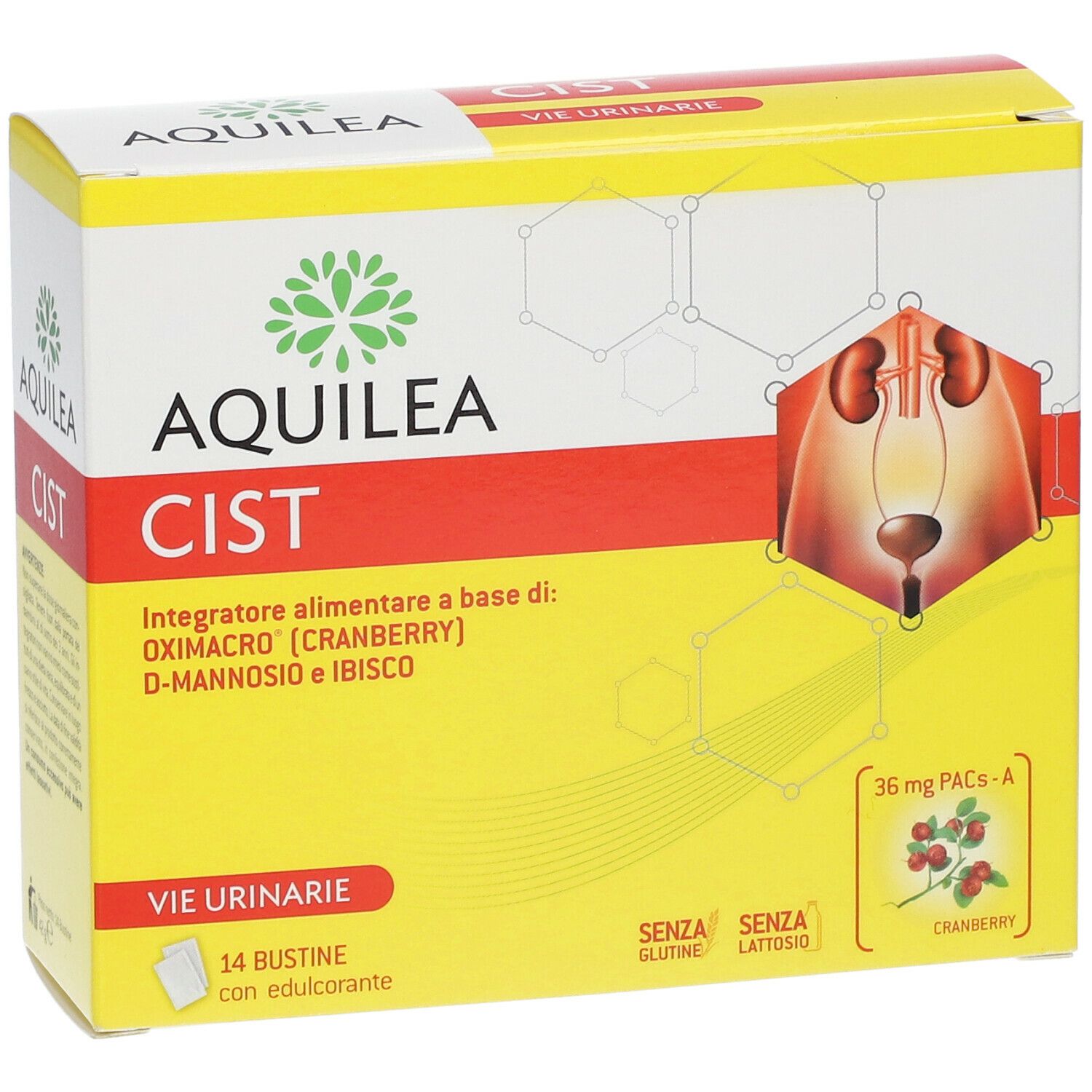 AQUILEA Cist