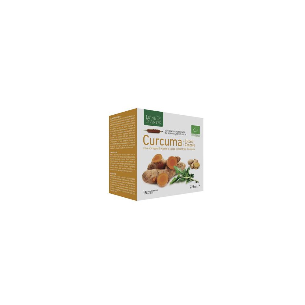 Curcuma Cicoria Zenzero Bio 15 Ampolle Bevibili Da 15 Ml