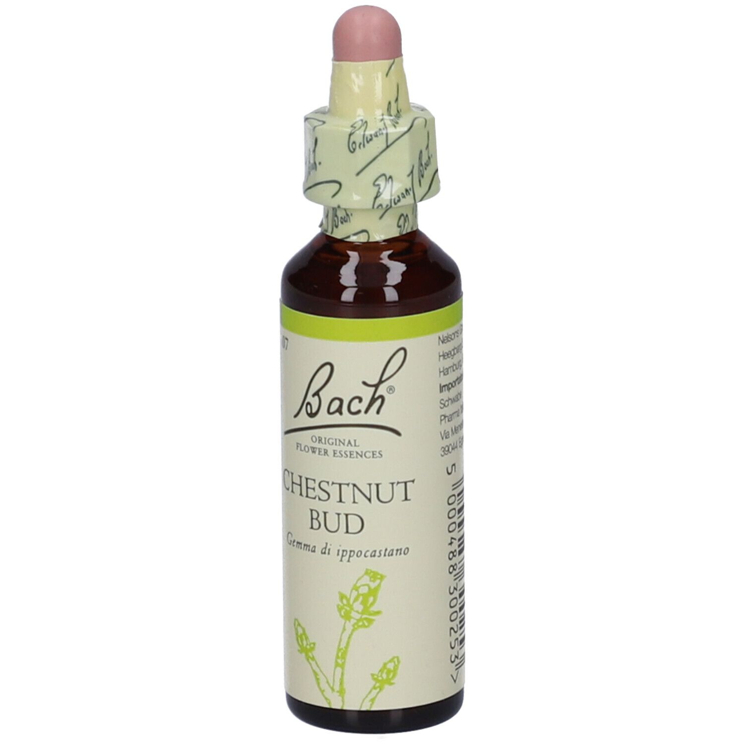 Flacone di vetro marrone con tappo rosa. Scritta: Bach, Chestnut Bud, Gemme di ippocastano.