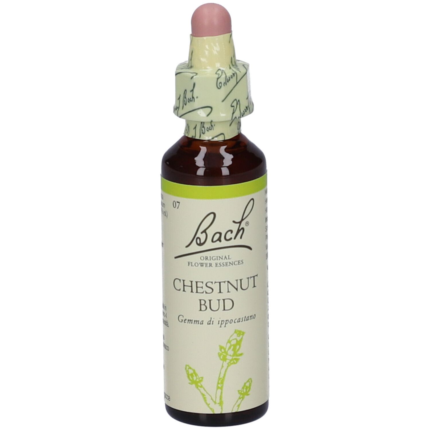 Flacone di vetro marrone con tappo rosa. Scritta: Bach, Chestnut Bud, Gemme di ippocastano.
