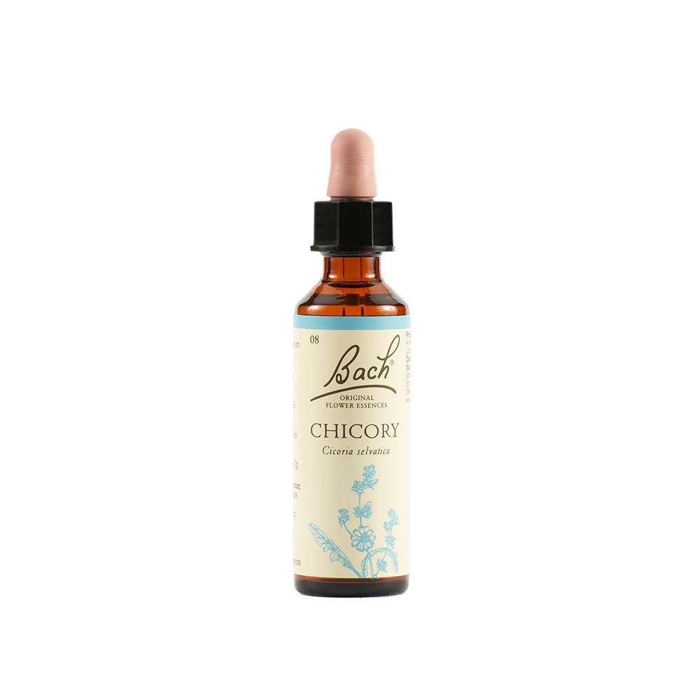Chicory Bach Orig 20Ml