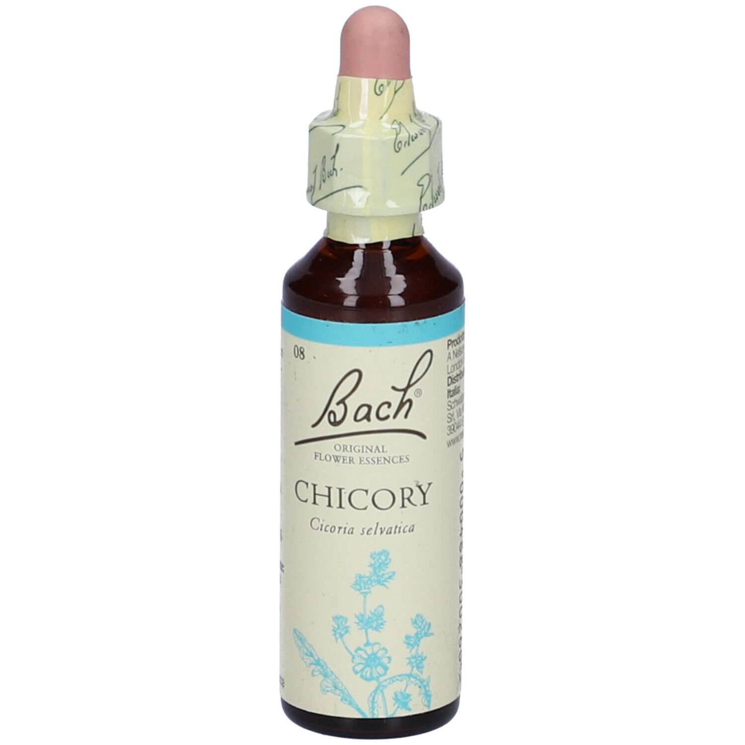 Flacone di vetro marrone con contagocce e fascetta di carta. Scritta: Bach, Chicory. Striscia azzurra.