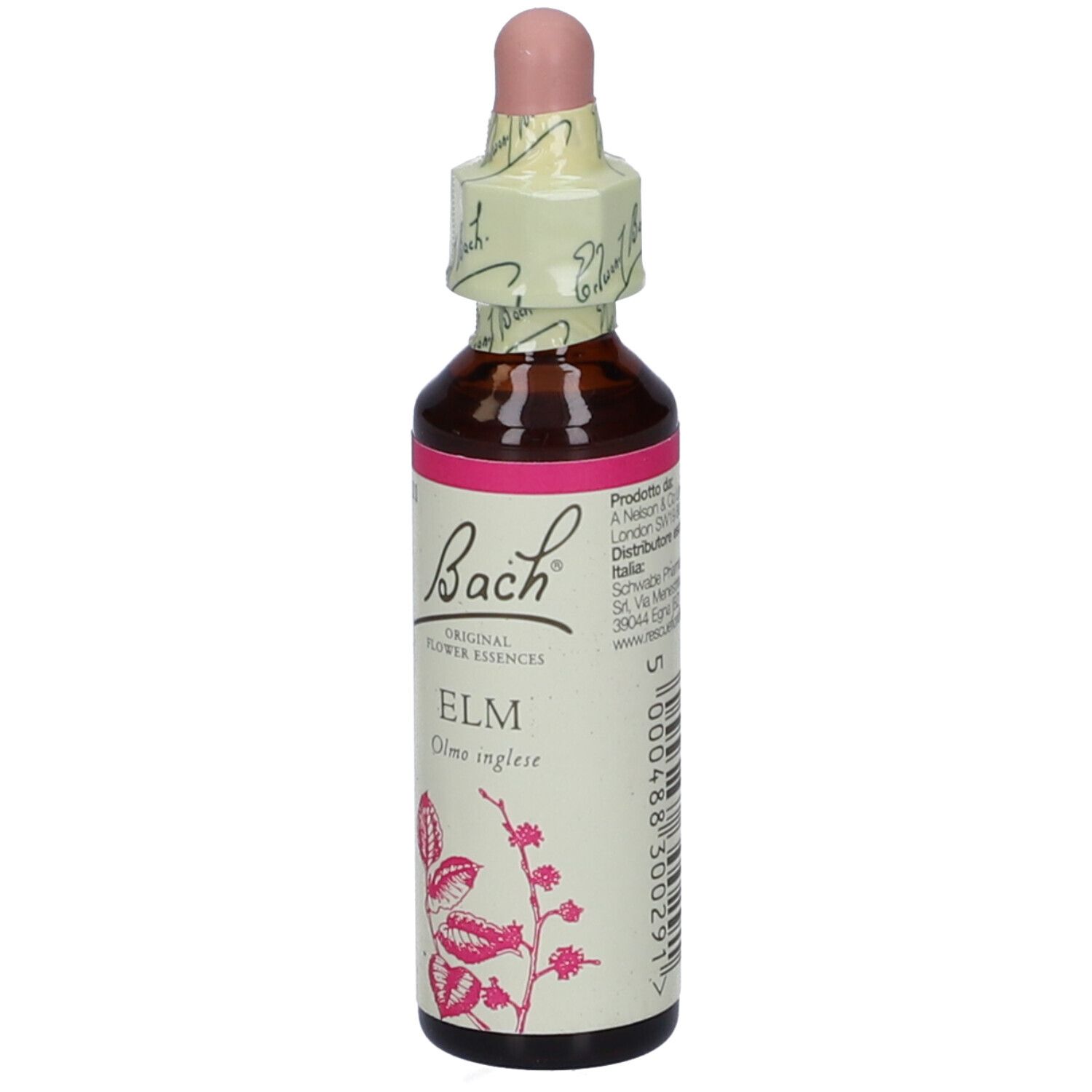Flacone di vetro marrone con etichetta rosa e contagocce. Scritta: Bach Original Flower Essences, Elm. Vista dettagliata.