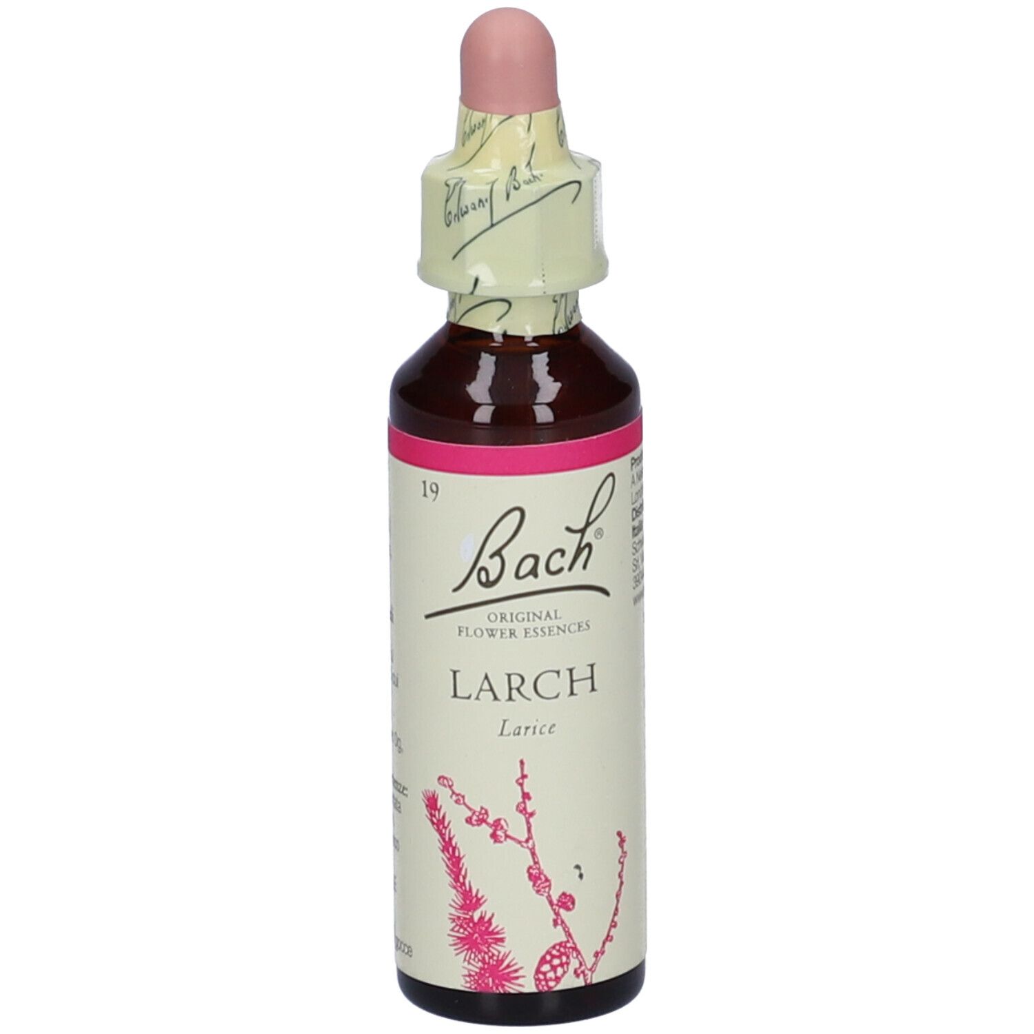 Flacone di vetro marrone con etichetta rosa. Scritta: Bach Larch. Con contagocce e chiusura di carta.